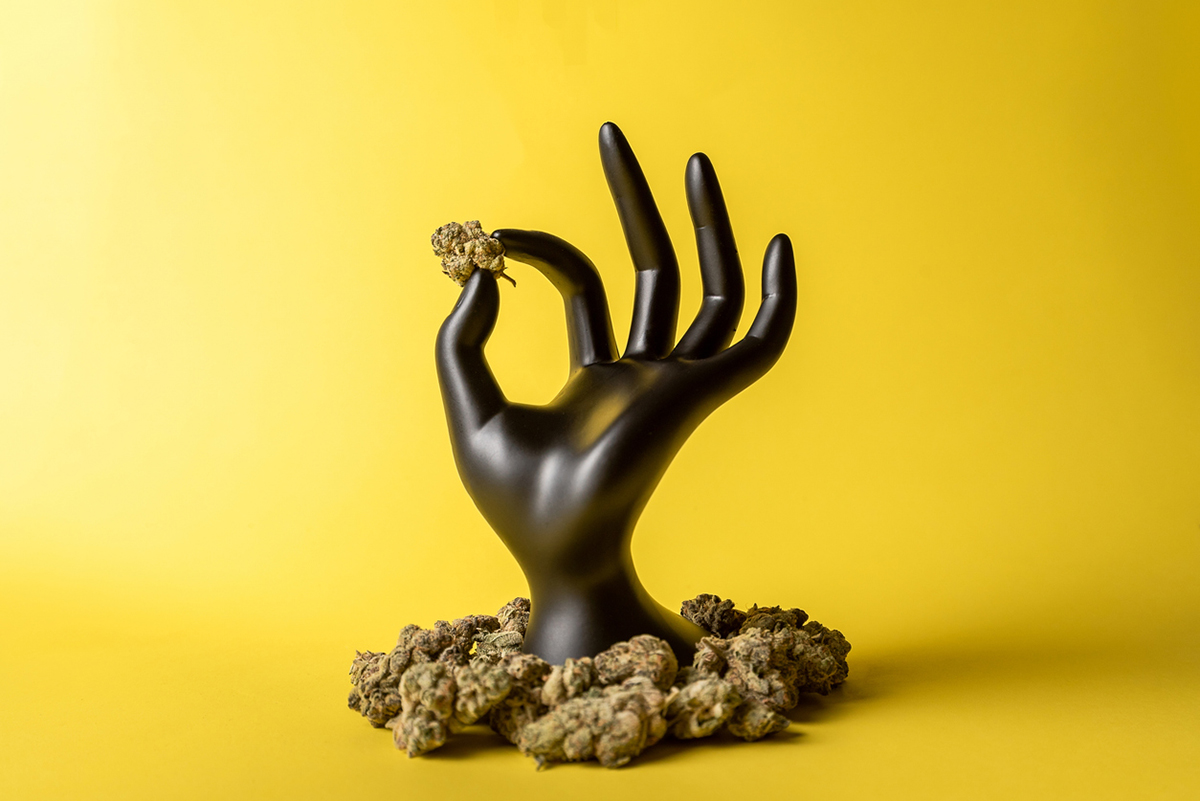 Cannabis Strains Guide